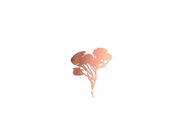 Smrka Bay Resort